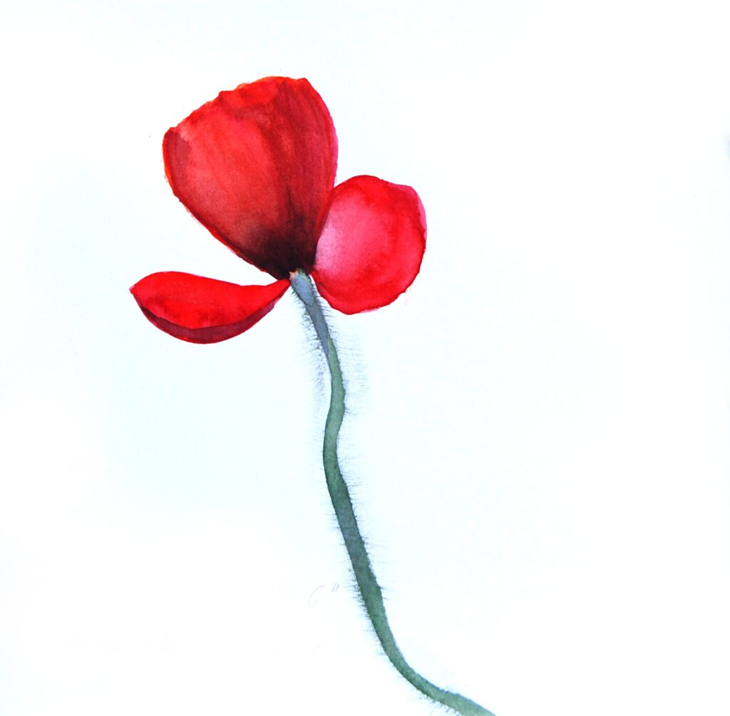 taller de acuarela en Valencia amapolas